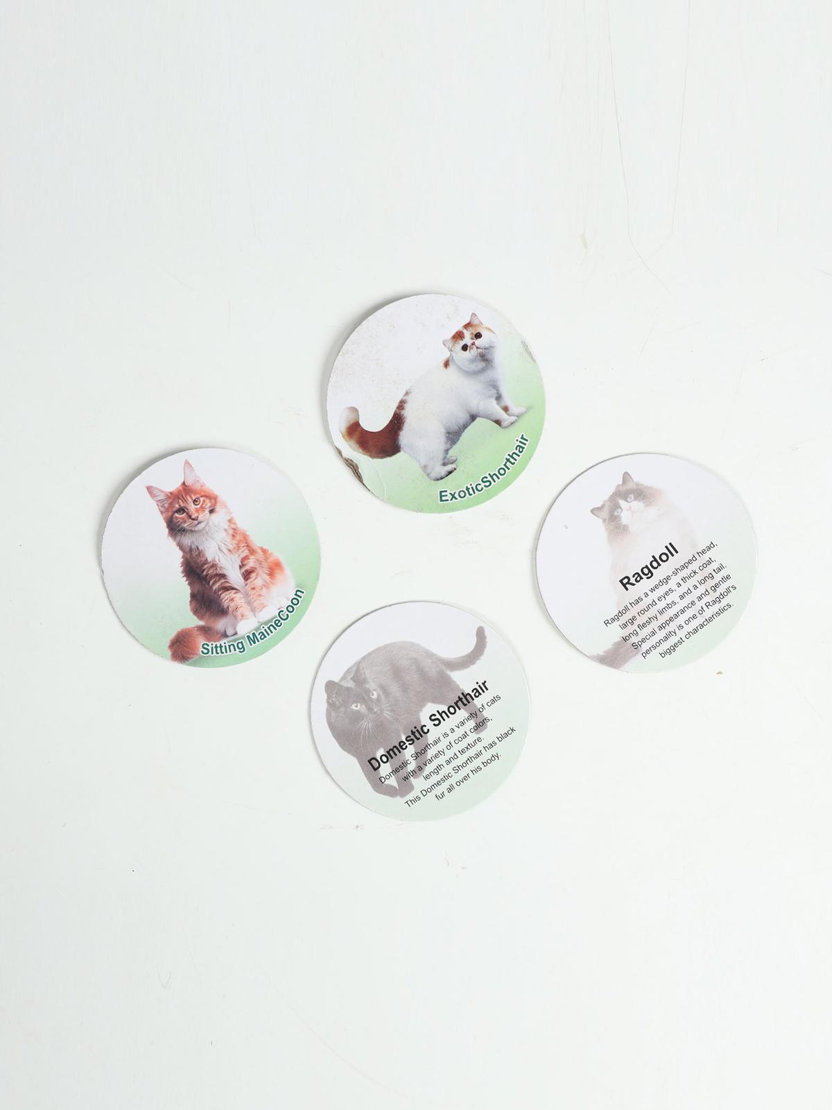 My Pet Cats Colouring Set